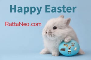 Happy Easter RattaNeo