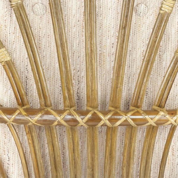 RattaNeo Coral k142 – Bild 5