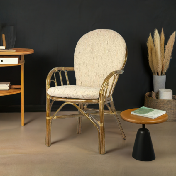 RattaNeo Coral k142 – Bild 13