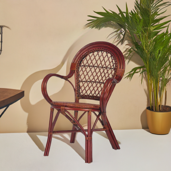 RattaNeo Coral k48 chair brown rattan natural -  rattan chair - Image 6